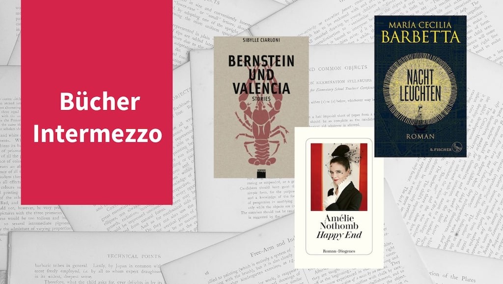 Titelbild zu: "Bücher Intermezzo VIII" mit den Titeln Amélie Nothomb - Happy End, Maria Cecilia Barbetta - Nachtleuchten, Sibylle Ciarloni - Bernstein und Valencia