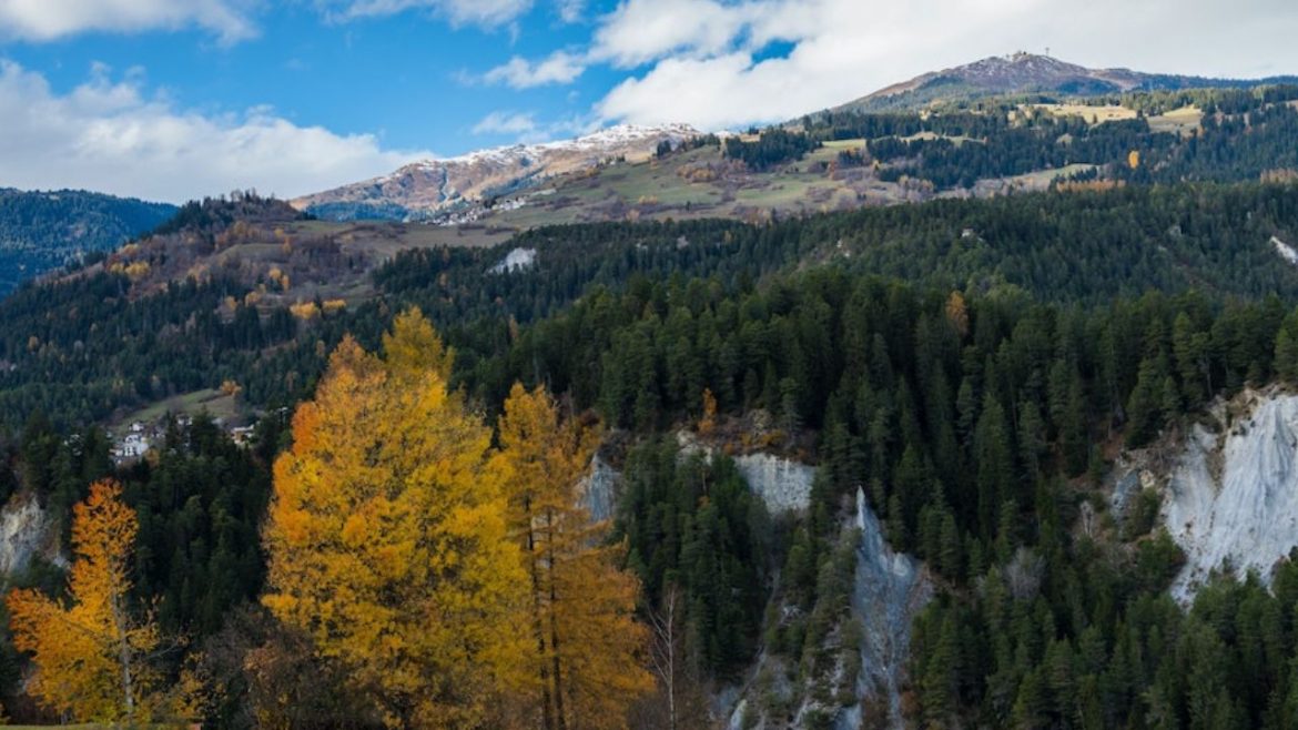 Header: Reise nach Tavanasa; über die Bücher von Arno Camenisch