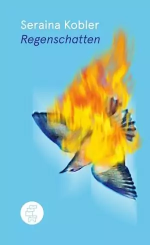 Seraina Kobler - Regenschatten