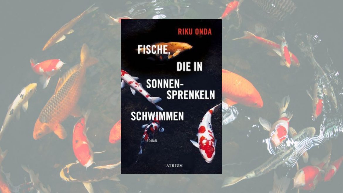 Header: Fische, die in Sonnensprenkeln schwimmen (Riku Onda)