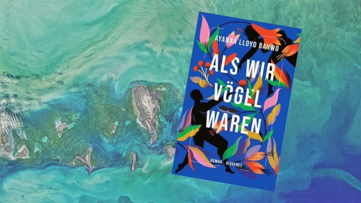 Header: Als wir Vögel waren