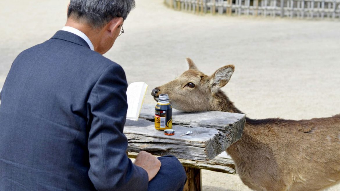 Header: Wie funktioniert die Erzähltechnik Kishotenketsu? Bild: Laurentiu Moriariu, unsplash