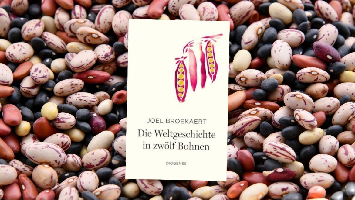 Header: Joël Broekaert - Die Weltgeschichte in zwölf Bohnen